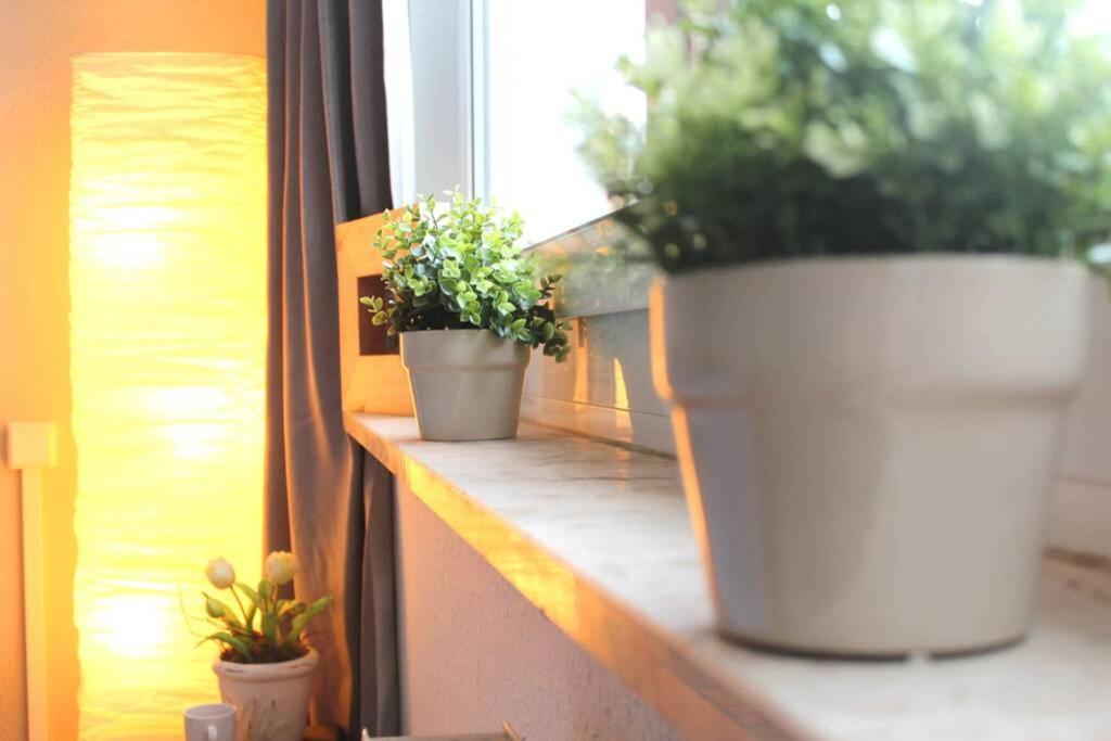 Apartment Bella شيمنيتز المظهر الخارجي الصورة